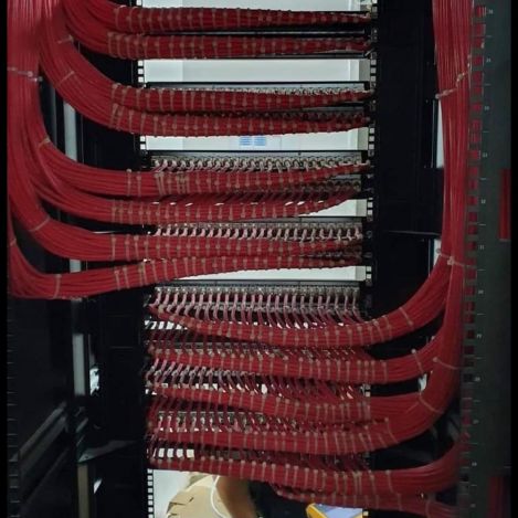 A server cabinet with several neat rows of red Ethernet cables carefully connected to connection boards, demonstrating the dew of expert systems in server farm solutions for companies.